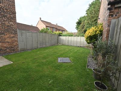 Picture 20